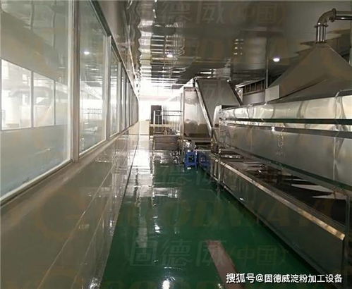 紅薯粉條機(jī)工藝多種多樣,怎樣篩選才不會入坑