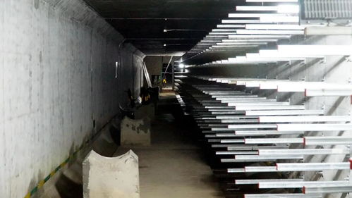 打造城市“生命線(xiàn)”，東海岸新城綜合管廊全面啟動(dòng)機(jī)電設(shè)備安裝